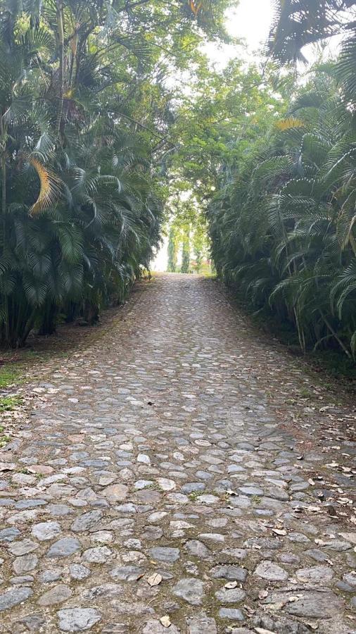 Plasencia Estate オモア エクステリア 写真