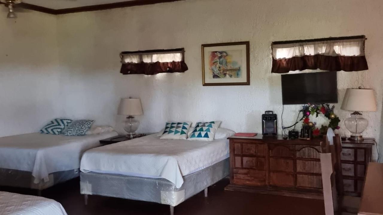 Plasencia Estate オモア エクステリア 写真