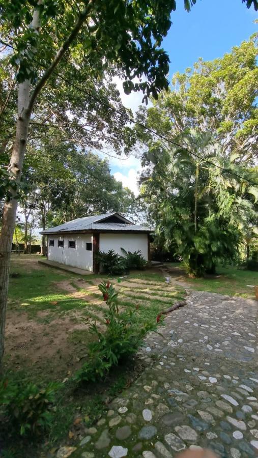 Plasencia Estate オモア エクステリア 写真
