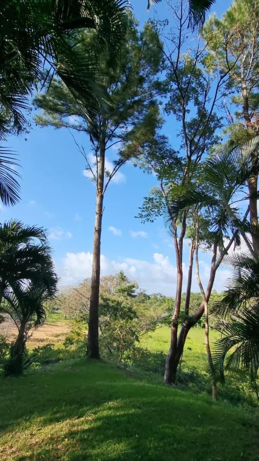 Plasencia Estate オモア エクステリア 写真